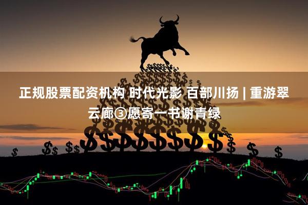 正规股票配资机构 时代光影 百部川扬 | 重游翠云廊③愿寄一书谢青绿
