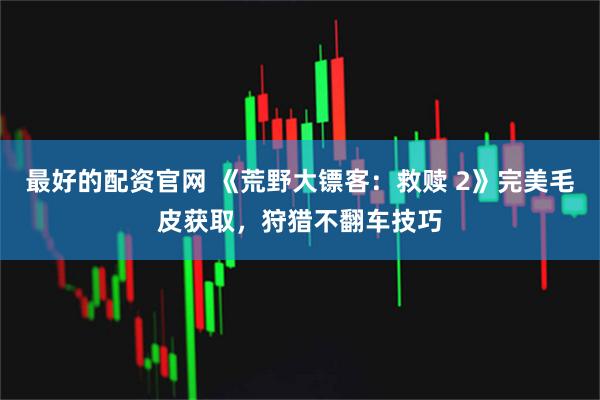 最好的配资官网 《荒野大镖客：救赎 2》完美毛皮获取，狩猎不翻车技巧